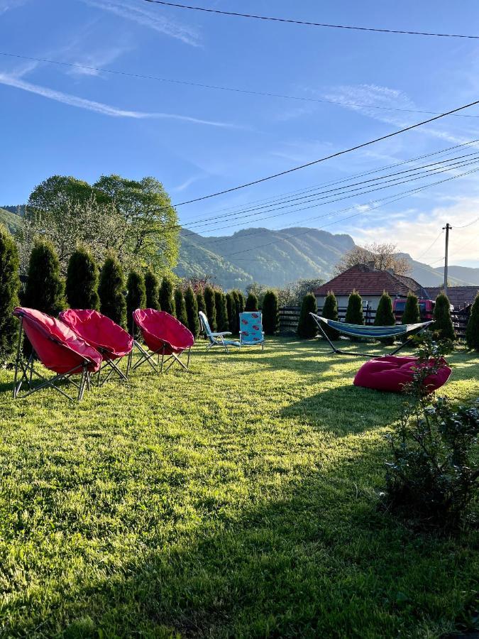 Guest house Nova Bran (Brasov)