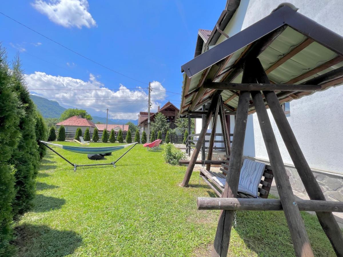 Nova * Bran (Brasov)